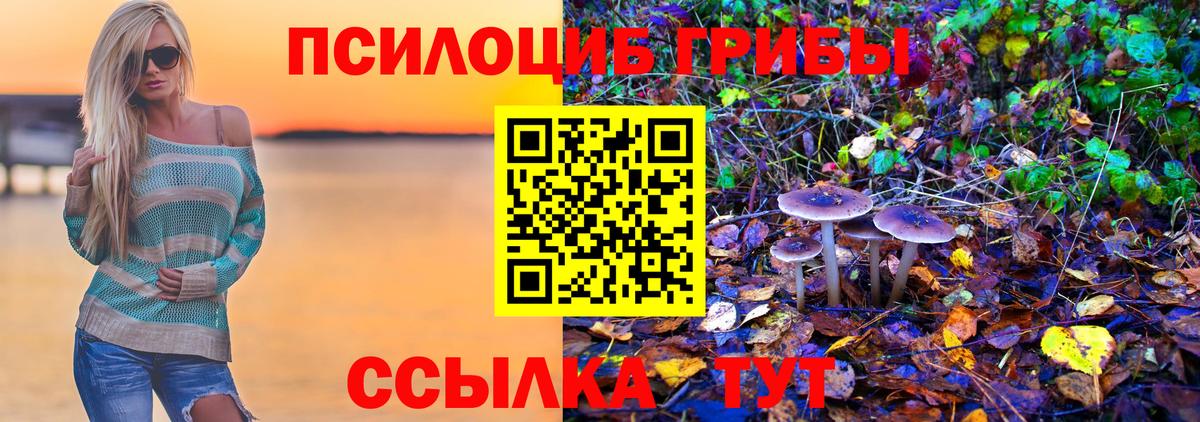 Сургут  Галлюциногенные грибы Psilocybe  Галлюциногенные грибы прущие грибы  Вход с VPN 
